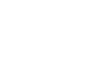 Borgobo'